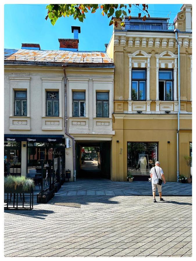 Apartaments In The City Centre Каунас Екстериор снимка